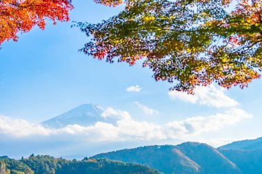 Güzel manzara dağ fuji göl Yamanashi Japonya akçaağaç ağaç yaprak ile