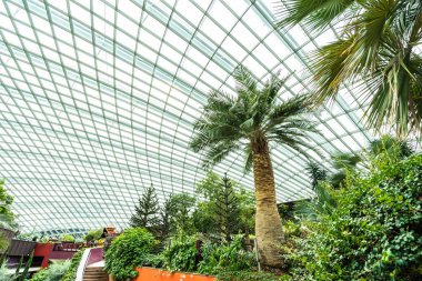 Çiçek kubbe Bahçe ve sera orman landmark Singapur City seyahat için bina güzel mimari