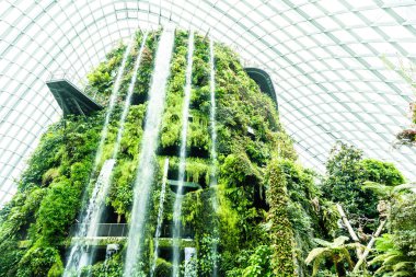 Çiçek kubbe Bahçe ve sera orman landmark Singapur City seyahat için bina güzel mimari