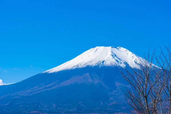 Bellissimo Paesaggio Fuji Montagna Intorno Lago Yamanakako Giappone — Foto Stock