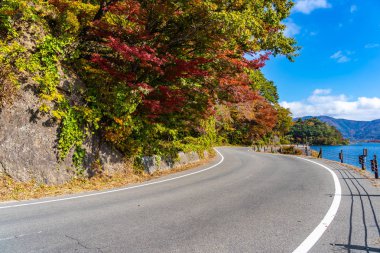 Güzel manzara yol çevresinde göl kawaguchiko sonbahar sesaon Yamanashi Japonya içinde yan
