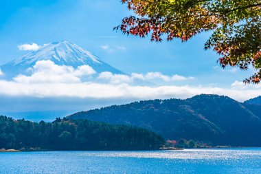 Dağ fuji akçaağaç yaprağı ağaç göl sonbahar sezonu ile güzel manzara