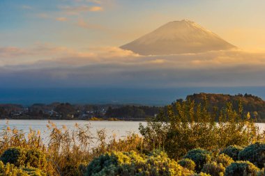 Dağ fuji akçaağaç yaprağı ağaç göl günbatımı zaman Yamanashi Japonya sonbahar sezonu ile güzel manzara