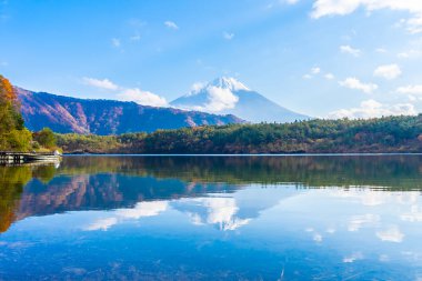Güzel manzara dağ fuji göl Yamanashi Japonya akçaağaç ağaç yaprak ile
