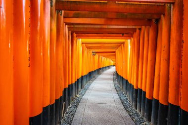 Güzel fushimi Inari tapınak tapınak Kyoto Japonya'da