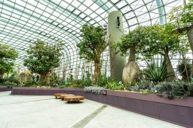 Çiçek kubbe Bahçe ve sera orman landmark Singapur City seyahat için bina güzel mimari