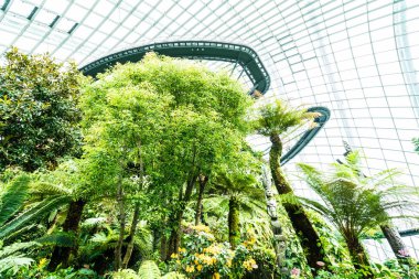 Çiçek kubbe Bahçe ve sera orman landmark Singapur City seyahat için bina güzel mimari