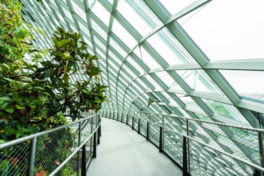 Çiçek kubbe Bahçe ve sera orman landmark Singapur City seyahat için bina güzel mimari