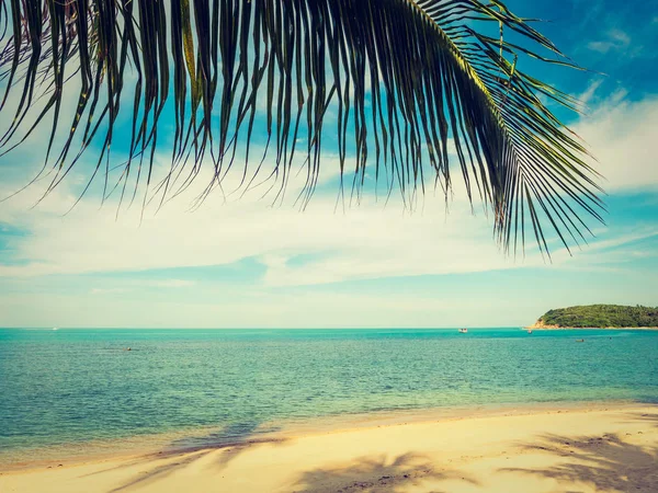 Bela Praia Tropical Mar Com Coqueiro Para Viagens Férias — Fotografia de Stock
