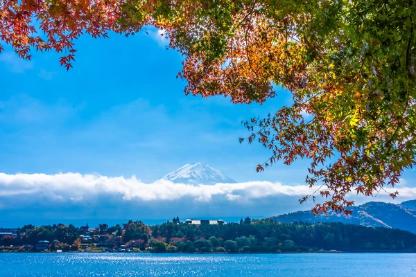 Hegyi Fuji Maple Leaf Őszi Szezonban Körül Gyönyörű Táj — Stock Fotó