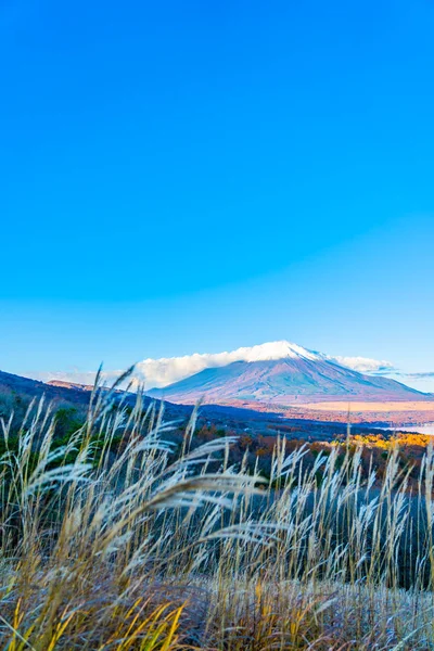 Beau Paysage Montagne Fuji Dans Lac Yamanakako Yamanaka Automne Japon — Photo