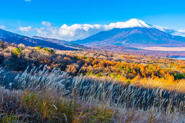 Vackra Landskap Fuji Berg Yamanakako Eller Yamanaka Lake Höstsäsongen Japan — Stockfoto