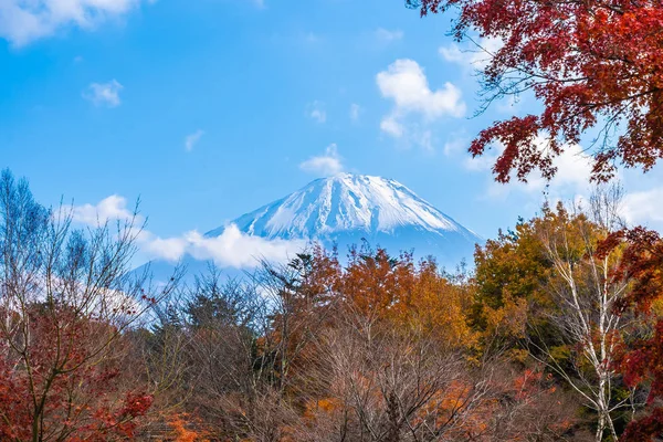 Beautiful landscape of mountain fuji with maple leaf tree around lake in autumn season Japan