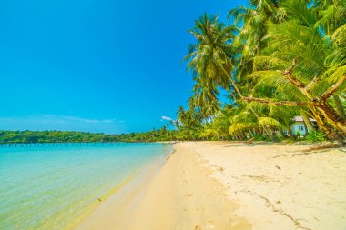 Güzel tropikal plaj ve deniz paradise Island Seyahat ve tatil için Hindistan cevizi hurma ağacı