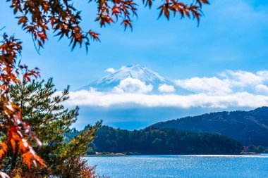 Dağ fuji akçaağaç yaprağı ağaç göl sonbahar sezonu ile güzel manzara