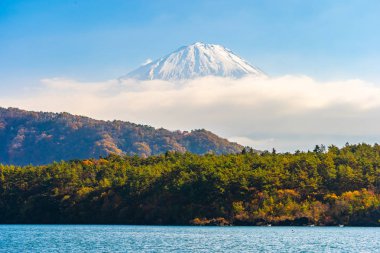 Dağ fuji sonbahar sezonu Yamanashi Japonya Gölü çevresinde ağaç yaprak tekne ve akçaağaç ile güzel manzara