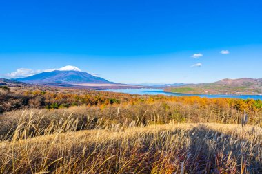 Fuji Dağı yamanakako ya da yamanaka Gölü sonbahar sezonu Japonya'nın güzel manzara