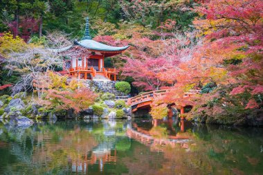 Renkli ağaç ve yaprak sonbahar sezonu Kyoto Japonya ile güzel Daigoji Tapınağı