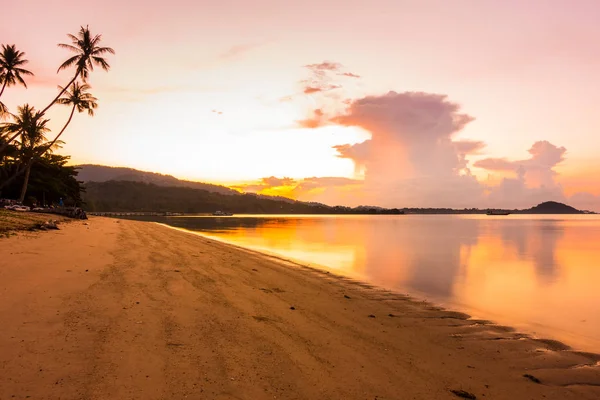 Frumoasă Vedere Aer Liber Ocean Plajă Palmier Tropical Nucă Cocos — Fotografie, imagine de stoc