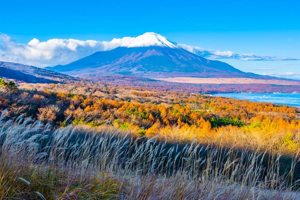 Vackra Landskap Fuji Berg Yamanakako Eller Yamanaka Lake Höstsäsongen Japan — Stockfoto