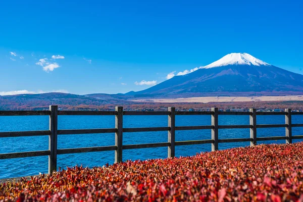 Hermoso Paisaje Montaña Fuji Alrededor Del Lago Yamanakako Japón — Foto de Stock