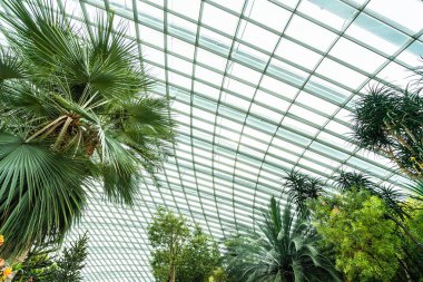 Çiçek kubbe Bahçe ve sera orman landmark Singapur City seyahat için bina güzel mimari