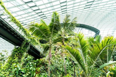 Çiçek kubbe Bahçe ve sera orman landmark Singapur City seyahat için bina güzel mimari