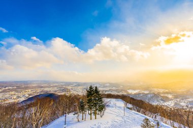 Dağın etrafından kar kış sezonu günbatımı zaman Sapporo Hokkaido Japonya ağacında ile güzel manzara
