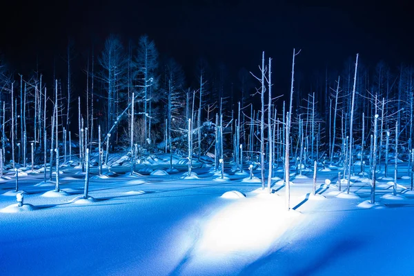 Beau Paysage Extérieur Avec Étang Bleu Rivière Nuit Avec Lumière — Photo