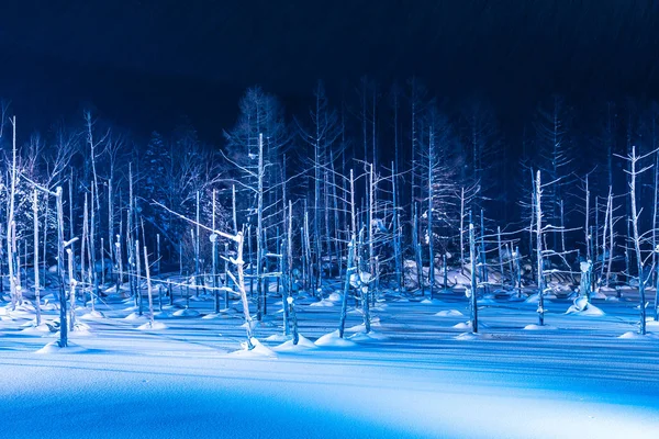 Piękny Krajobraz Odkryty Rzeka Staw Niebieski Nocy Zapalają Się Śnieg — Zdjęcie stockowe