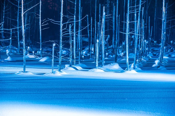 夜ライトアップされて雪の中で冬季北海道美瑛青い池川と美しい屋外風景 — ストック写真