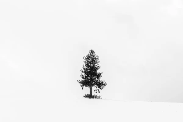 Schöne Outdoor Landschaft Mit Einsamen Weihnachtsbaum Schnee Wintersaison Verarbeitung Schwarz — Stockfoto