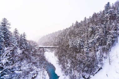 Güzel açık doğa manzara shirahige şelale ve kar kış sezonu Hokkaido Japonya Bridge'de