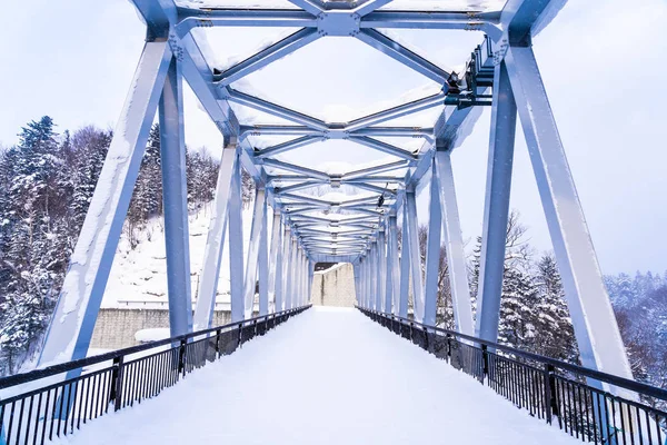 美丽的户外自然景观与雪拉热瀑布和桥梁在雪冬季节北海道日本 — 图库照片