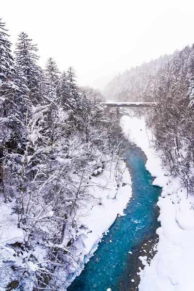 美丽的户外自然景观与雪拉热瀑布和桥梁在雪冬季节北海道日本 — 图库照片