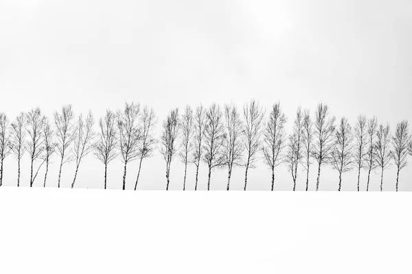 雪冬シーズン北海道 黒と白の色を処理で木の枝のグループと美しい屋外の自然風景 — ストック写真