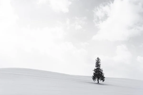 空と雲と雪の冬の天気シーズンで単独で人工クリスマス ツリーと美しい屋外の自然風景 — ストック写真