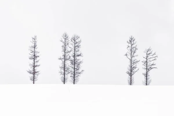 Beautiful landscape of lonely tree branch in snow winter season