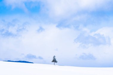 Güzel açık doğa manzara ve kış Kar sezonu kopya alanı ile Noel ağacı
