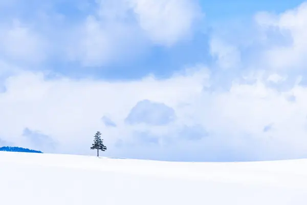 Όμορφο Υπαίθριο Τοπίο Και Χριστουγεννιάτικο Δέντρο Χειμώνα Χιόνι Αντίγραφο Χώρου — Φωτογραφία Αρχείου