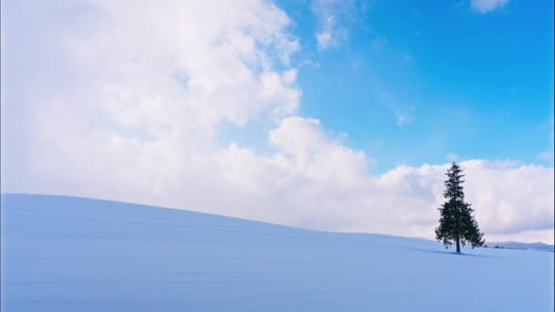 Мальовничі Кадри Красивого Зимового Пейзажу — стокове відео