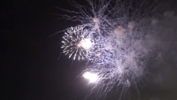 Nahaufnahmen Von Feuerwerk Das Nachthimmel Explodiert — Stockvideo