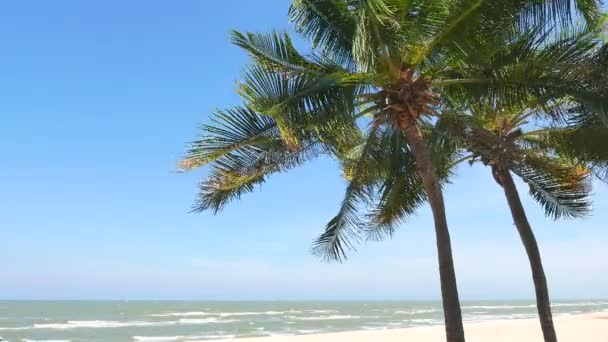 Imágenes Tranquilas Hermoso Mar Ondulado — Vídeo de stock