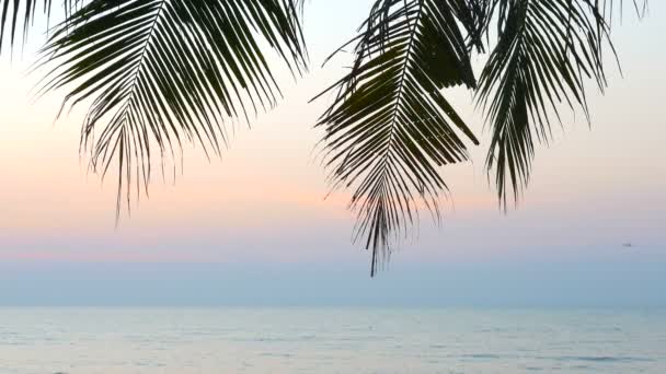 Imagens Tranquilas Belo Mar Ondulado Pôr Sol — Vídeo de Stock