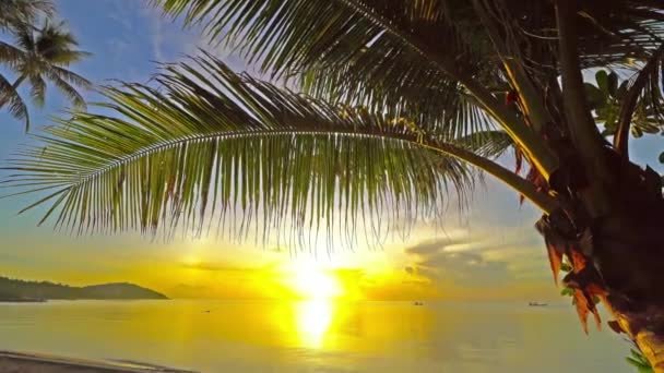 Imagens Tranquilas Belo Mar Ondulado Pôr Sol — Vídeo de Stock