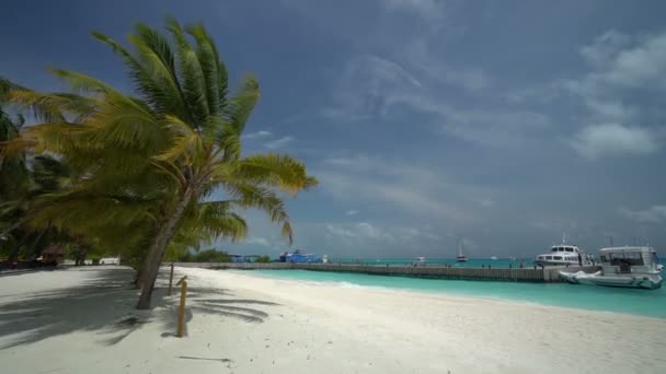 Imágenes Tranquilas Hermoso Mar Ondulado — Vídeos de Stock