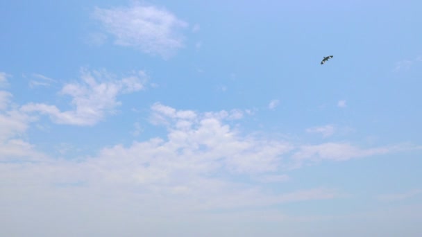 Footage Beautiful Sky Moving Clouds Time Lapse — Stock Video