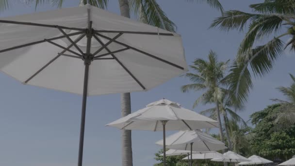 Images Gros Plan Parasols Sur Plage — Video