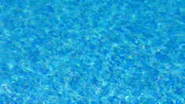 수영장의 프레임 — 비디오