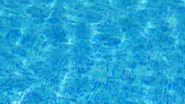 Imagens Quadro Completo Piscina Água — Vídeo de Stock